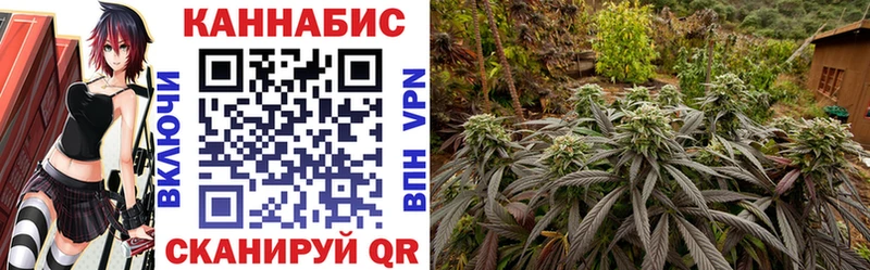 Купить  Воткинск  Марихуана OG Kush 